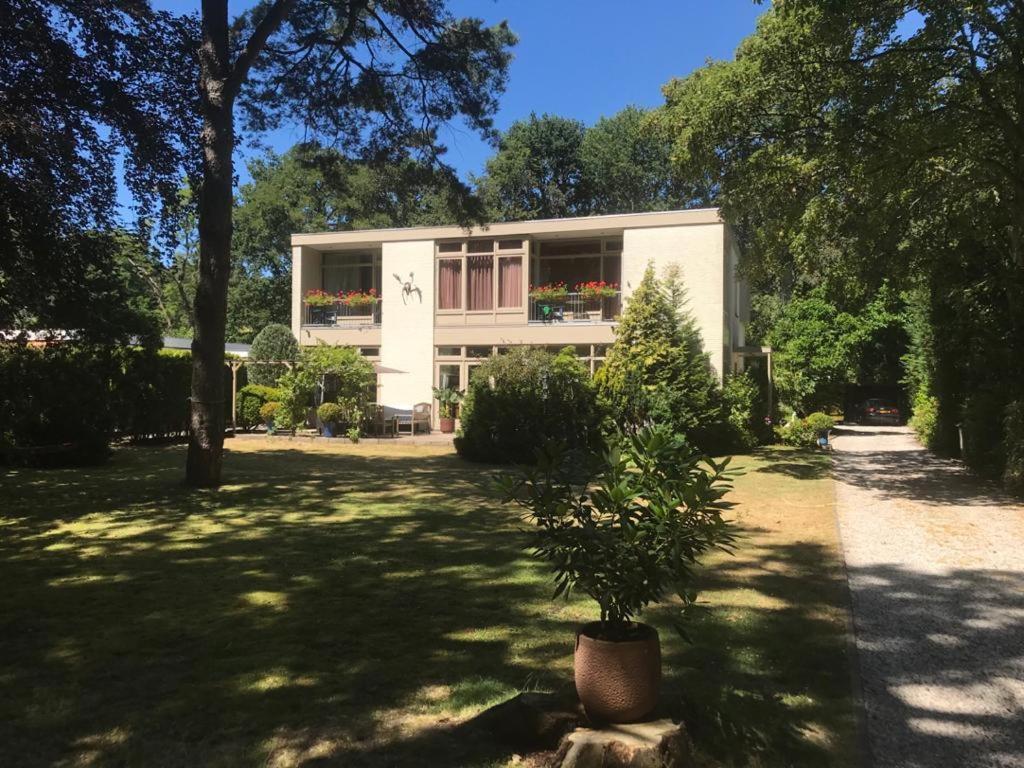 De Rode Beuk Wassenaar Exterior foto